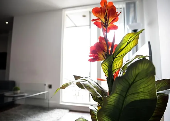 Modern 2 Bedroom Apartment - City Centre - Parking