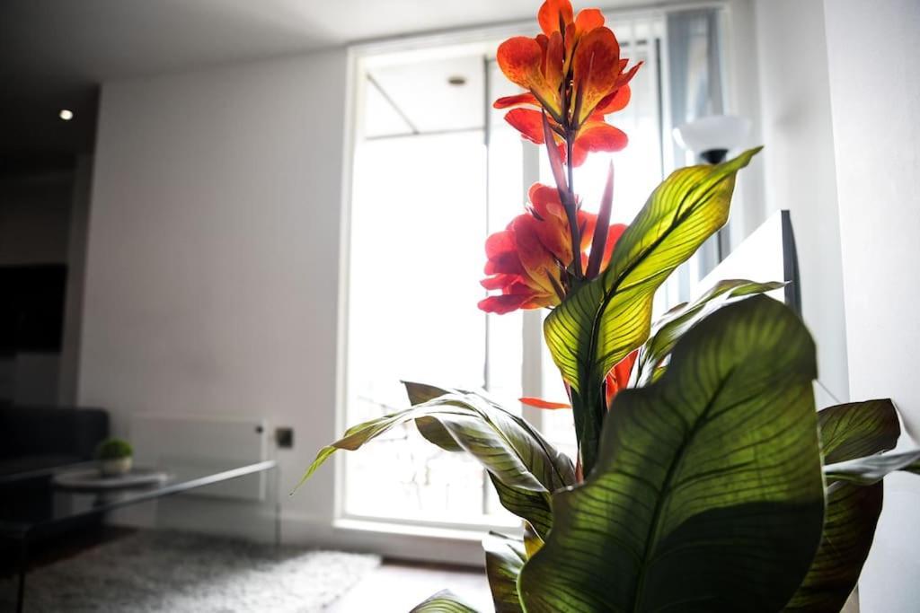 Apartment Modern 2 Bedroom - Centre - Parking *
